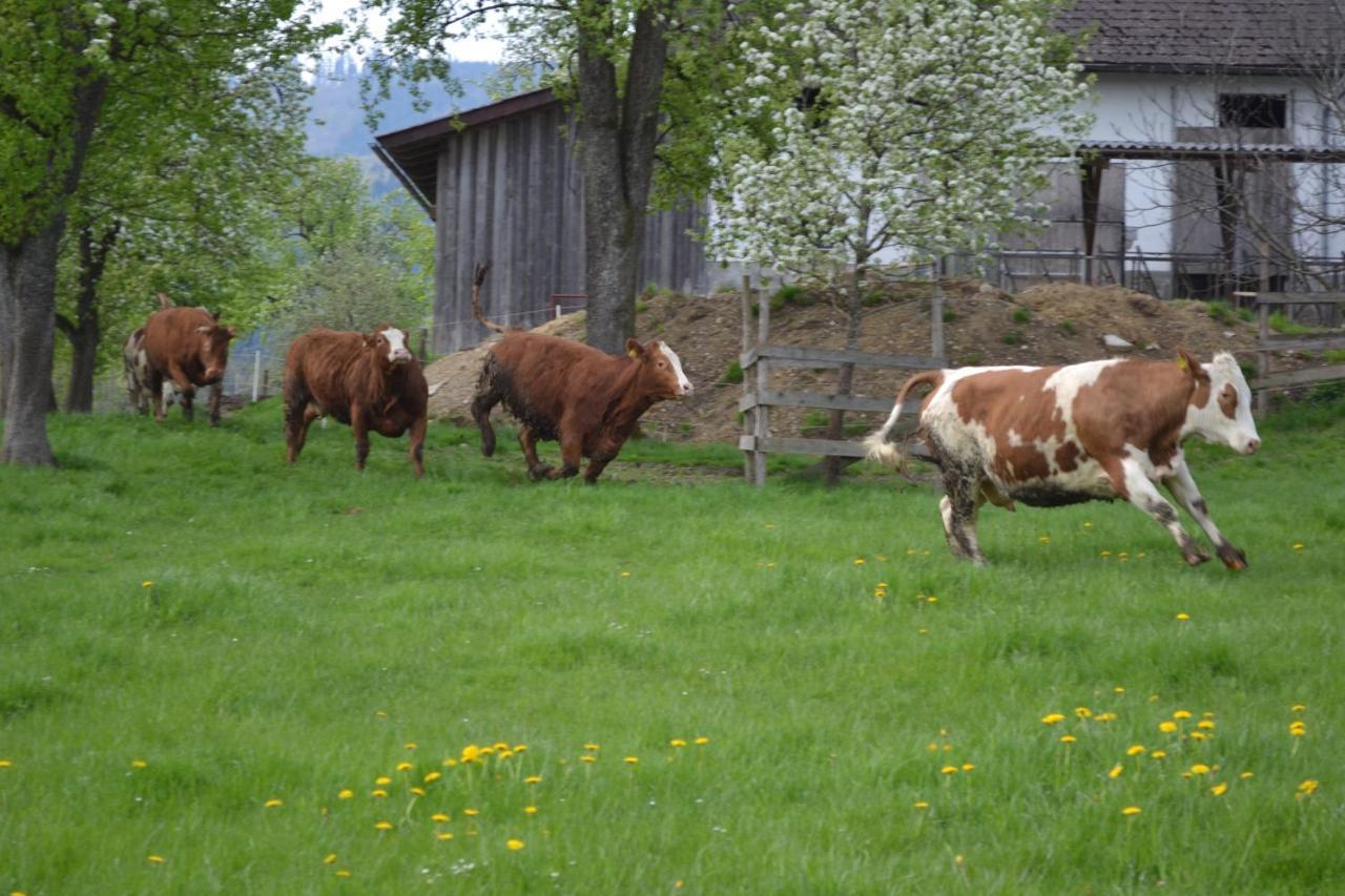 Biohof Auinger, Der Tiererlebnishof Daire Aurach am Hongar Dış mekan fotoğraf