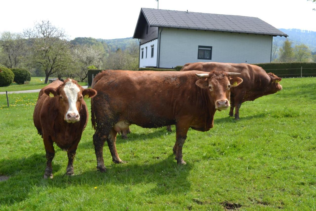 Biohof Auinger, Der Tiererlebnishof Daire Aurach am Hongar Dış mekan fotoğraf